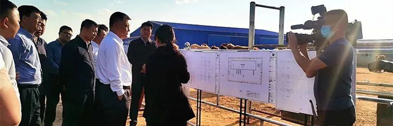 帕力亚多首ge双峰驼养殖基地在内蒙古自治区投建